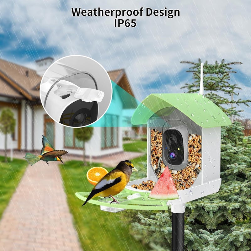 Fazoxo Bird Feeder with Camera,Smart AI Birds Breed Recognition,Birds Motion Detection with Real-Time Notice,Auto Capture Bird Watching WiFi Camera,Solar-Powered Outdoor Charging Bird House,Ideal Gifts,Green - Image 4